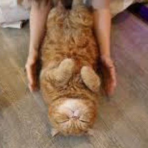 Meet your Posher, Gladys